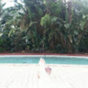 Meet your Posher, Robin